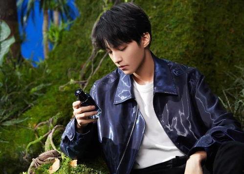 王俊凱壁紙最新爆料圖片,青春氣息撲面而來